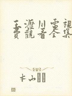 王沥川电视剧免费观看全集剧情