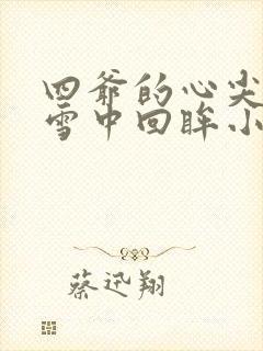 四爷的心尖宠妃雪中回眸小说的免费阅读
