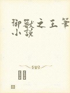 御兽之王笔趣阁小说