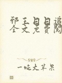 邪王日日追妻忙全文免费阅读