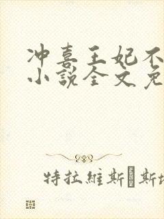 冲喜王妃不好惹小说全文免费阅读