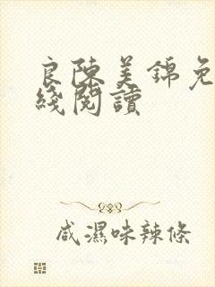 良陈美锦免费在线阅读