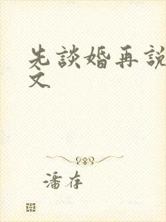 先谈婚再说爱全文封面