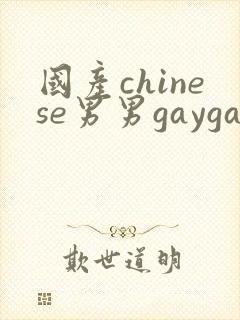 国产chinese男男gaygay180只