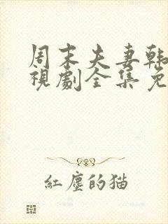 周末夫妻韩剧电视剧全集免费观看西瓜