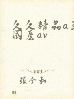 久久精品a亚洲国产av