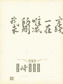 我的唯一完整版未删减在线免费观看