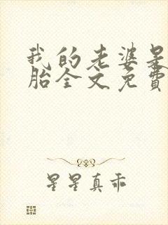 我的老婆是双胞胎全文免费阅读封面