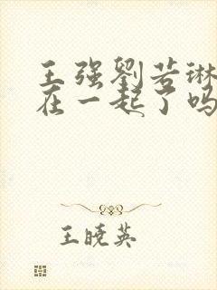 王强刘若琳最后在一起了吗封面