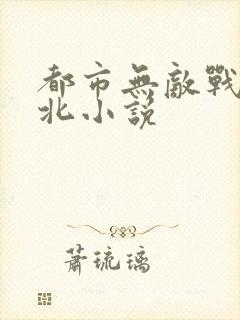 都市无敌战神林北小说