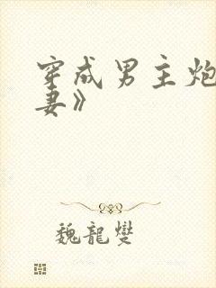 穿成男主炮灰前妻》