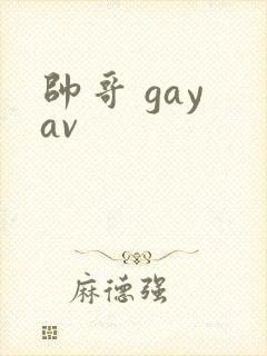 帅哥 gay av