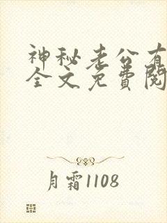 神秘老公有点坏全文免费阅读全文