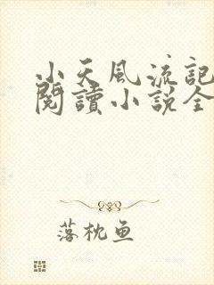 小天风流记免费阅读小说全文