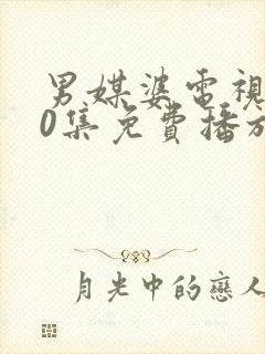 男媒婆电视剧40集免费播放封面