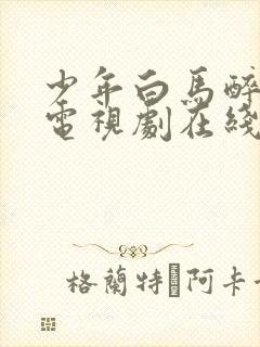 少年白马醉春风电视剧在线观看11集封面