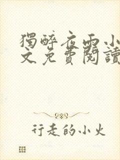 独醉夜雨小说全文免费阅读