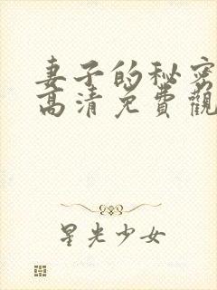 妻子的秘密漫画高清免费观看