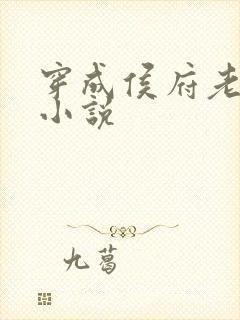 穿成侯府老夫人小说