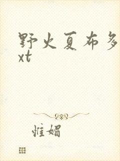 野火夏布多昂txt
