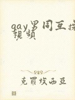 gay男同互操视频封面