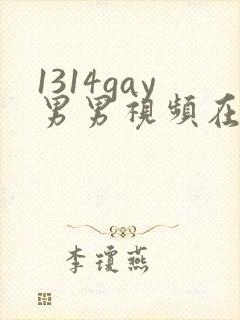 1314gay男男视频在线观看封面