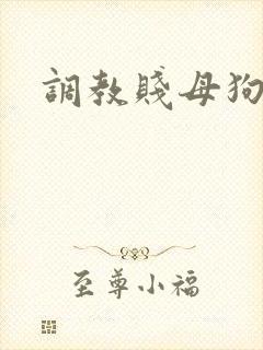 调教贱母狗文