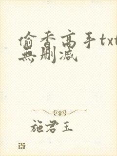 偷香高手txt无删减