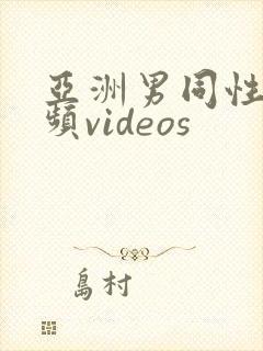 亚洲男同性恋视频videos