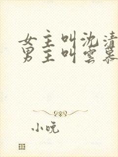 女主叫沈清颜,男主叫云慕凡封面