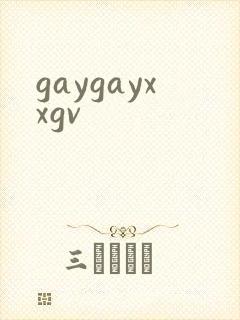 gaygayxxgv封面
