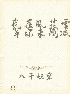 我在风花雪月里等你未删减