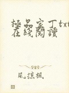 极品家丁txt在线阅读