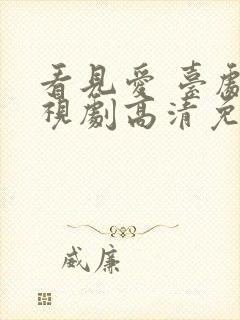 看见爱 台剧电视剧高清免费观看