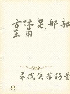 方休是哪部小说主角封面