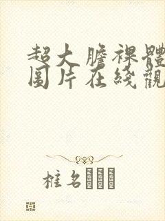 超大胆裸体艺术图片在线观看