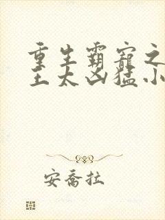 重生霸宠之摄政王太凶猛小说