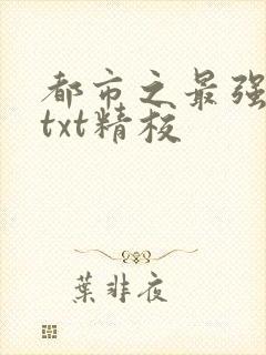 都市之最强狂兵txt精校