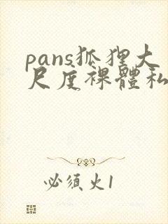 pans狐狸大尺度裸体私拍视频网站免费