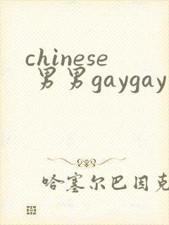 chinese 男男gaygay 网站