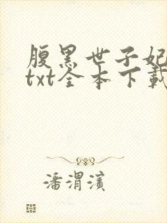 腹黑世子妃日常txt全本下载封面