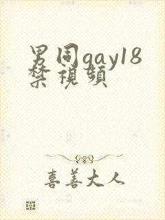 男同gay18禁视频