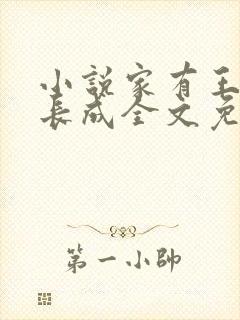 小说家有王妃初长成全文免费阅读封面