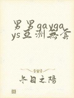 男男gaygays亚洲无套封面