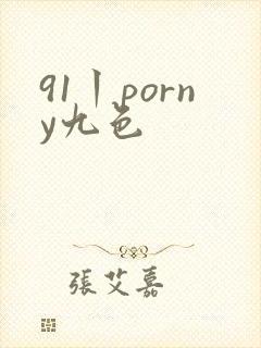 91丨porny九色