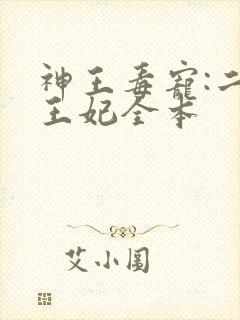 神王毒宠:二嫁王妃全本