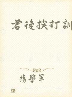 君后挨打训诫文封面