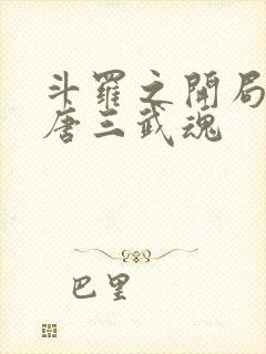 斗罗之开局揭露唐三武魂