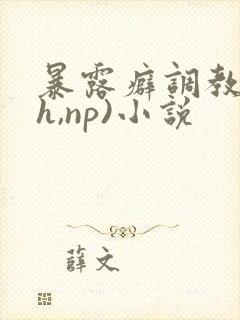 暴露癖调教(高h,np)小说