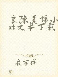 良陈美锦小说txt文本下载封面